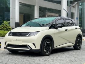 比亚迪 海豚 2021款 405km 时尚版