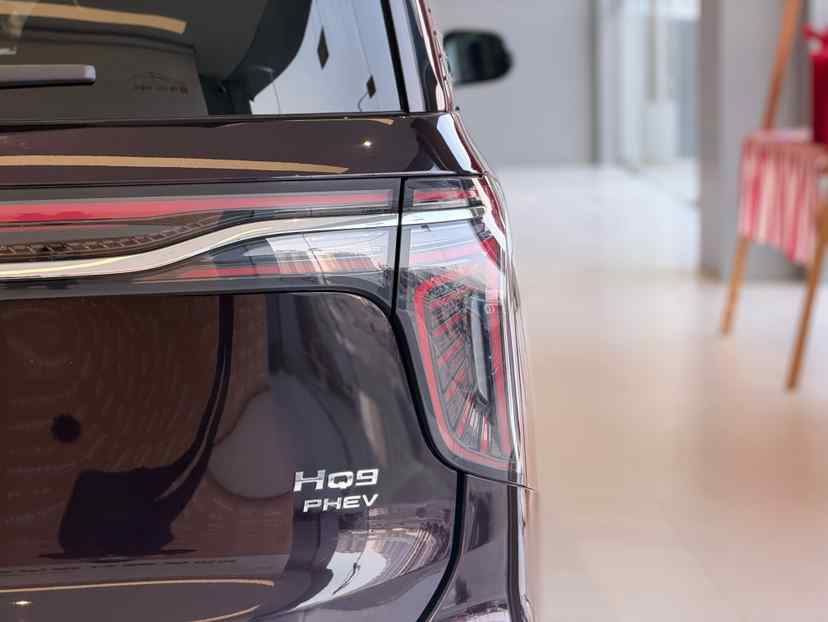 红旗HQ9 PHEV 2024款 2.0T 四驱商务版(4)