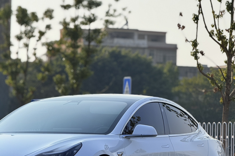 特斯拉 Model 3 2019款 标准续航后驱升级版车身外观6006