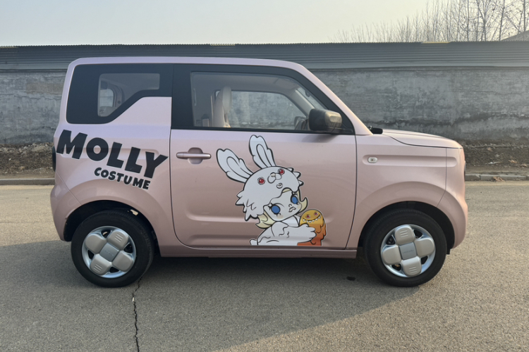 吉利银河 2024款 熊猫mini 200km 耐力熊车身外观6006