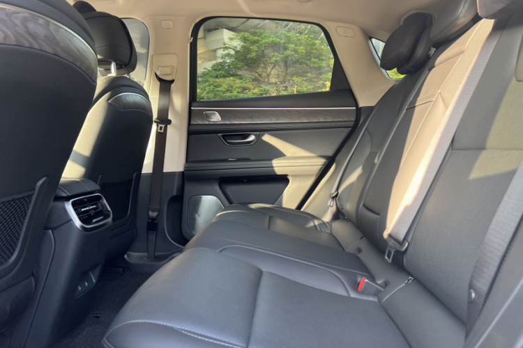 鸿蒙智行 问界M5 2022款 增程后驱标准版局部细节9001