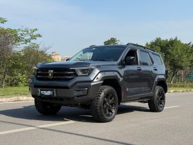 坦克400新能源 2024款 Hi4-T 越野版