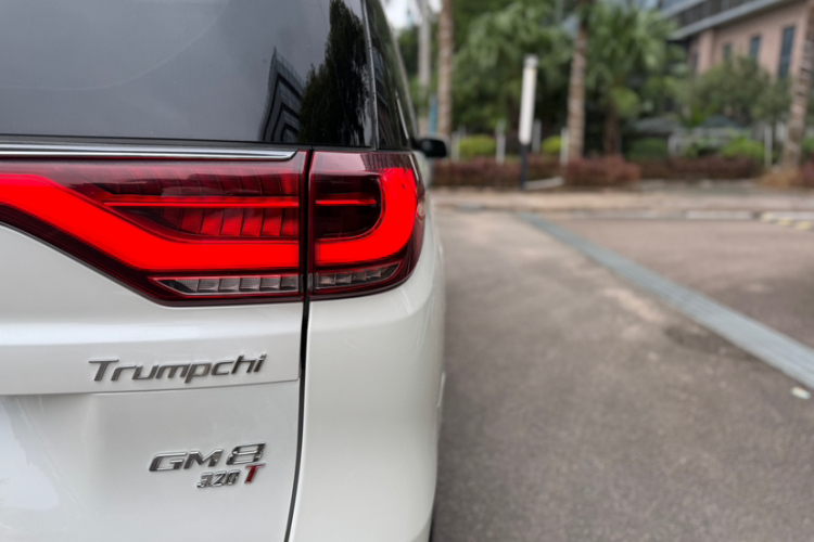 广汽传祺 传祺M8 2018款 320T 旗舰版车身外观6008