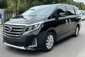 广汽传祺 传祺M8 2020款 领航款 390T 尊享版