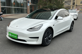 特斯拉 Model 3(进口) 2019款 标准续航后驱升级版(60度)