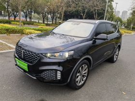 魏牌 VV6 2020款 2.0T 两驱智享+