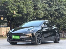 特斯拉 Model Y 2021款 标准续航后驱版