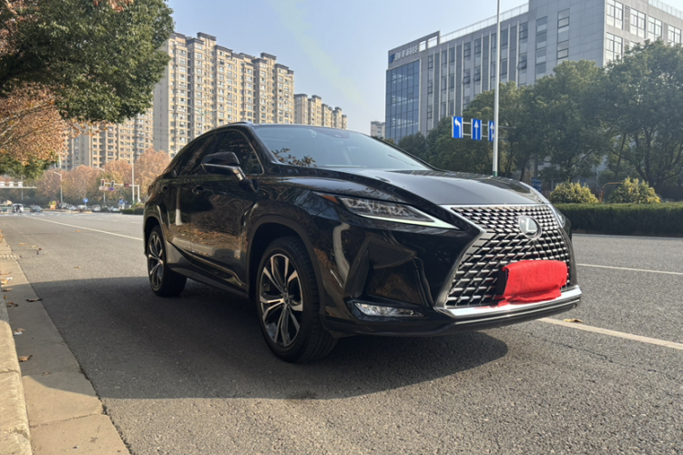 雷克萨斯RX 2021款 300 四驱特别版车身外观6002