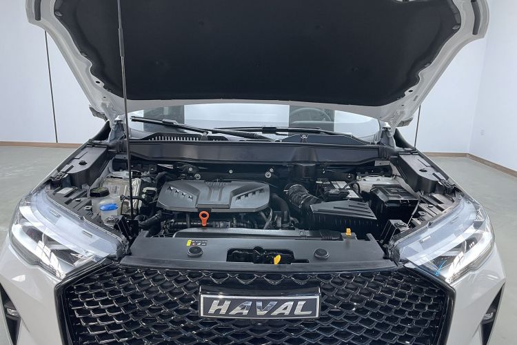 哈弗H6 2021款 第三代 2.0T 自动两驱Max中控内饰7006