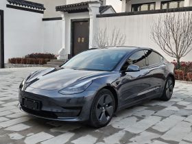 特斯拉 Model 3 2021款 标准续航后驱升级版