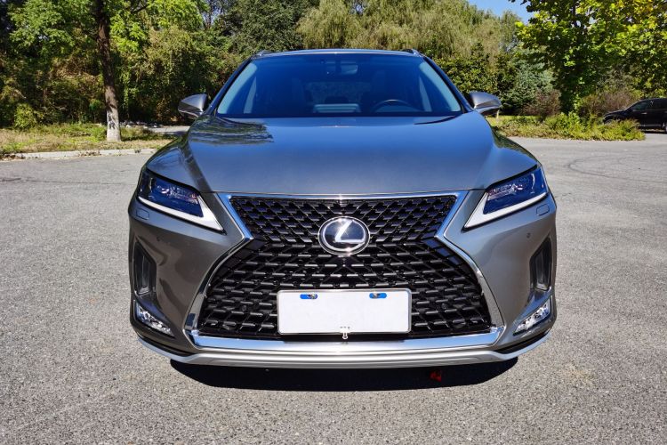 雷克萨斯RX 2020款 改款 300 两驱精英版车身外观6007