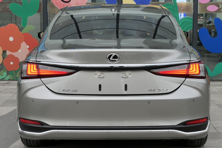 雷克萨斯ES 2022款 200 卓越版车身外观6003