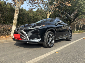 雷克萨斯RX 2021款 300 四驱特别版