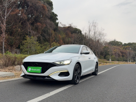 现代 菲斯塔 2019款 280TGDi 运动版 国V