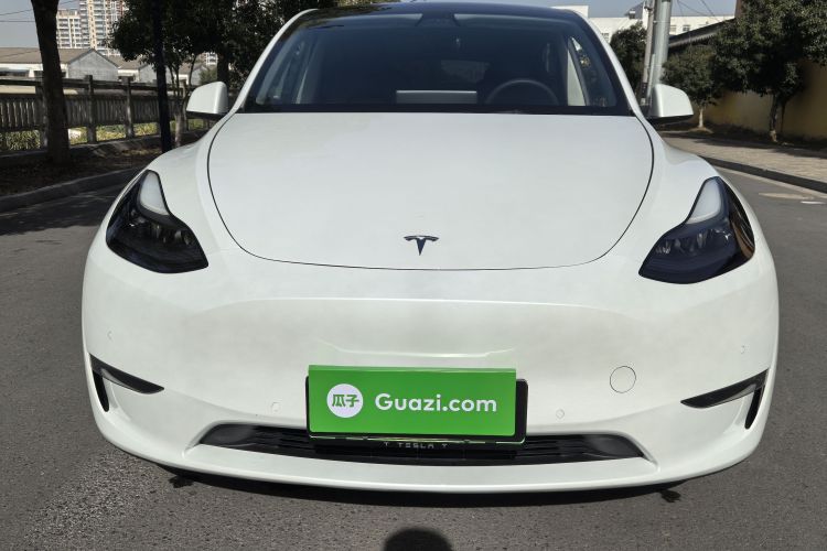 特斯拉 Model Y 2021款 长续航全轮驱动版车身外观6005