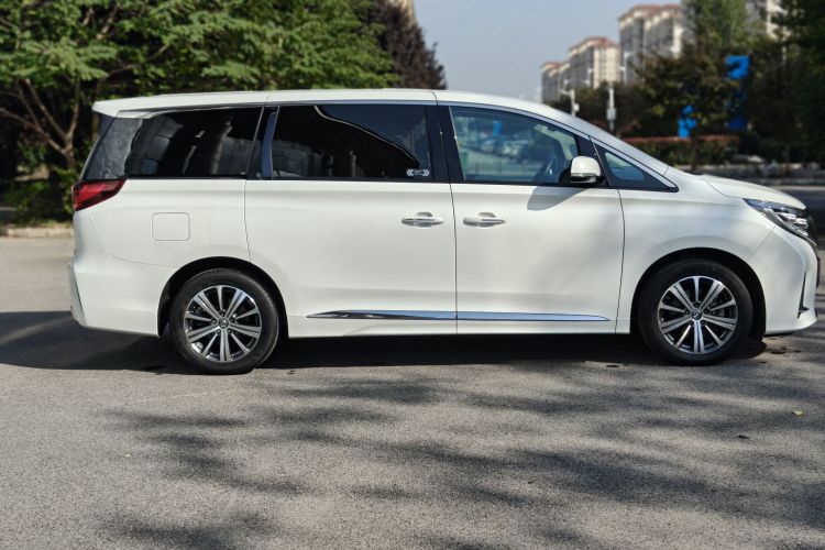 广汽传祺 传祺M8 2020款 领航款 390T 尊贵版车身外观6006