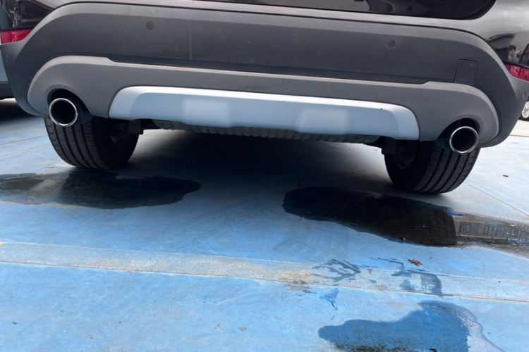 宝马X1 2016款 sDrive20Li 豪华型局部细节9006