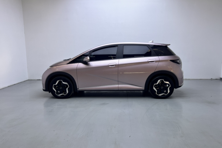 比亚迪 海豚 2021款 405km 时尚版车身外观6001