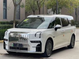 极氪009 2024款 六座行政版四驱 108kWh