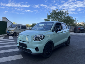 零跑汽车 零跑T03 2023款 310轻享版