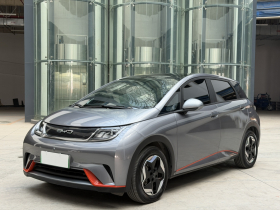 比亚迪 海豚 2021款 405km 时尚版