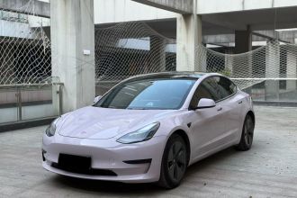 特斯拉 Model 3 2022款 后轮驱动版
