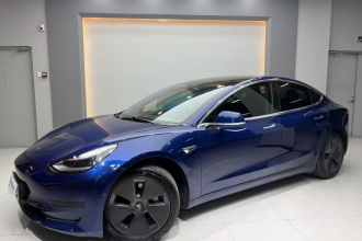 特斯拉 Model 3 2020款 标准续航后驱升级版