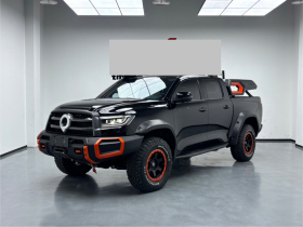 长城 炮 2022款 2.0T黑弹特别版GW4C20B