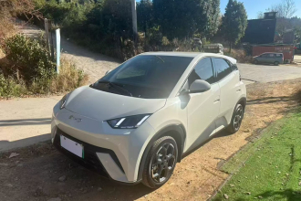 比亚迪 海鸥 2025款 305km 自由版