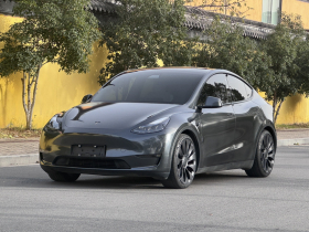 特斯拉 Model Y 2021款 Performance高性能全轮驱动版