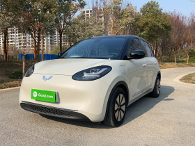 五菱汽车 五菱缤果 2023款 333km 悦享+款