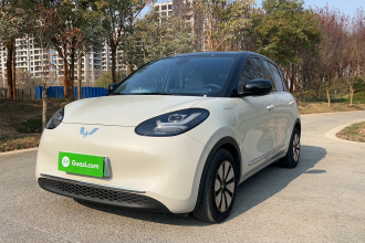 五菱汽车 五菱缤果 2023款 333km 悦享+款