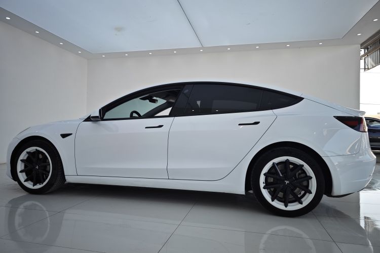 特斯拉 Model 3 2021款 标准续航后驱升级版 3D6车身外观6010