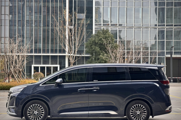 腾势D9 2024款 DM-i 1050 尊享型车身外观6009