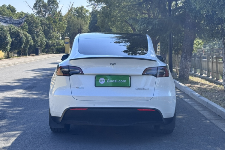 特斯拉 Model Y 2022款 Performance高性能全轮驱动版车身外观6005
