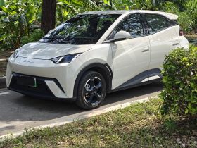 比亚迪 海鸥 2023款 飞翔版