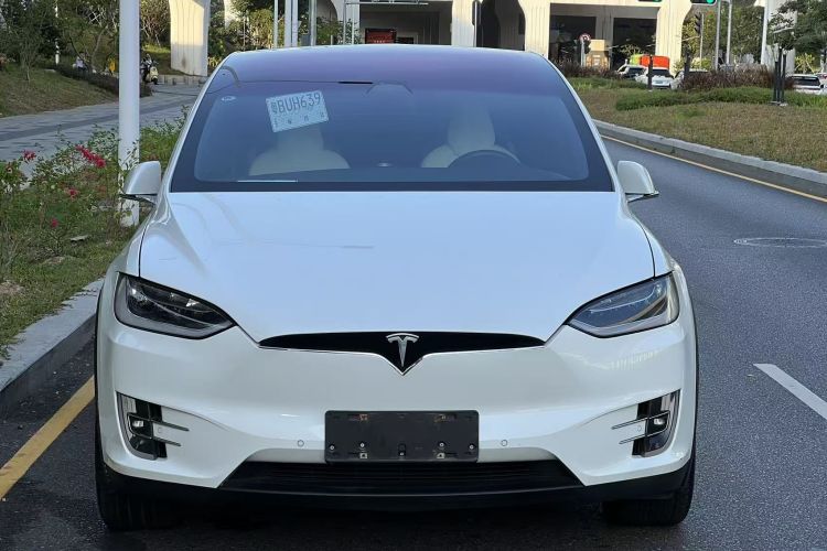 特斯拉 Model X 2019款 长续航版车身外观6001