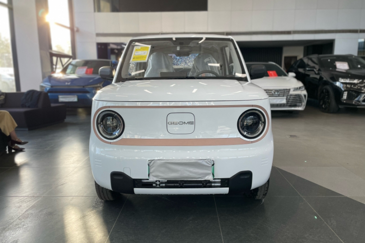 吉利银河 2024款 熊猫mini 200km 耐力熊车身外观6008