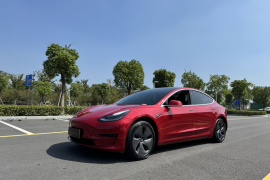 特斯拉 Model 3 2020款 标准续航后驱升级版