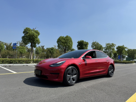 特斯拉 Model 3 2020款 标准续航后驱升级版