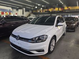 大众 高尔夫 2019款 1.6L 自动舒适型 国V