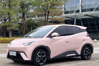 比亚迪 海鸥 2023款 飞翔版