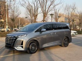 腾势D9 2022款 DM-i 970 四驱尊荣型