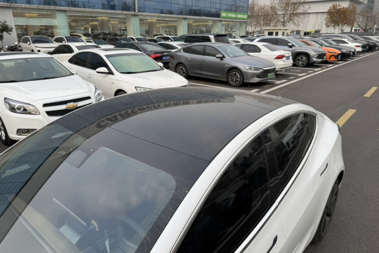 特斯拉 Model 3(进口) 2019款 长续航全轮驱动版车身外观6008