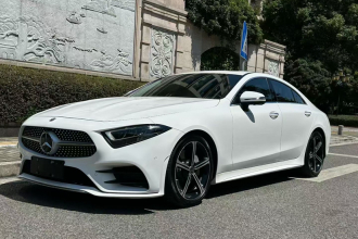 奔驰CLS 2020款 CLS 300 豪华型