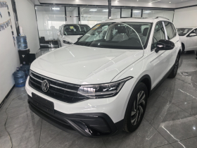 大众 途观L 2025款 出众款 300TSI 自动两驱龙腾版