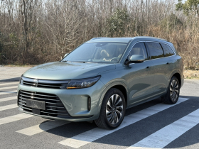 鸿蒙智行 问界M7 2022款 1.5T 后驱舒适版