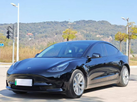 特斯拉 Model 3 2021款 标准续航后驱升级版