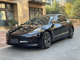 特斯拉 Model 3 2020款 改款 标准续航后驱升级版