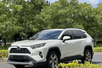 丰田 RAV4荣放 2020款 2.0L CVT两驱风尚版